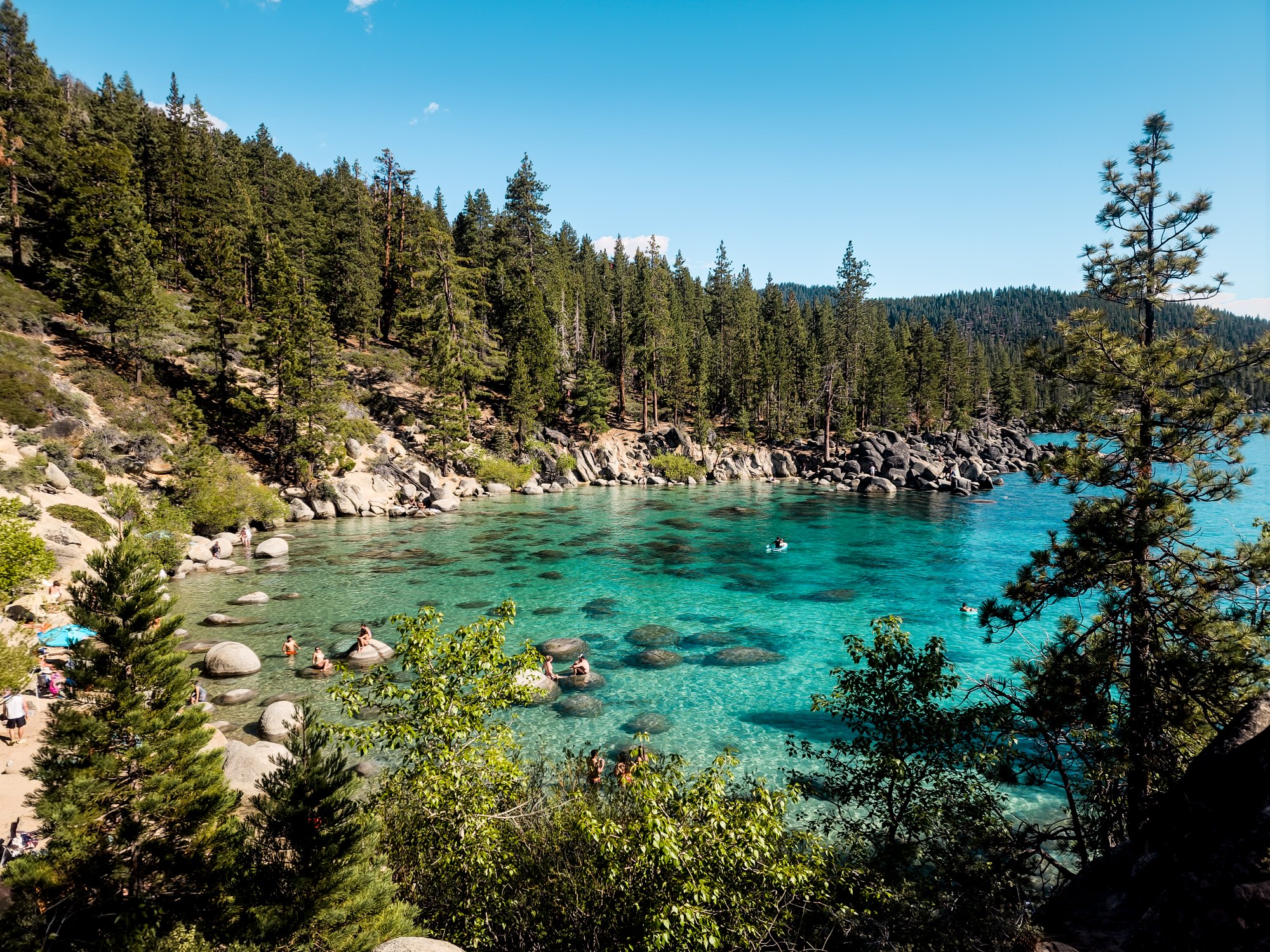 An emerald mountain cove ringed by pines